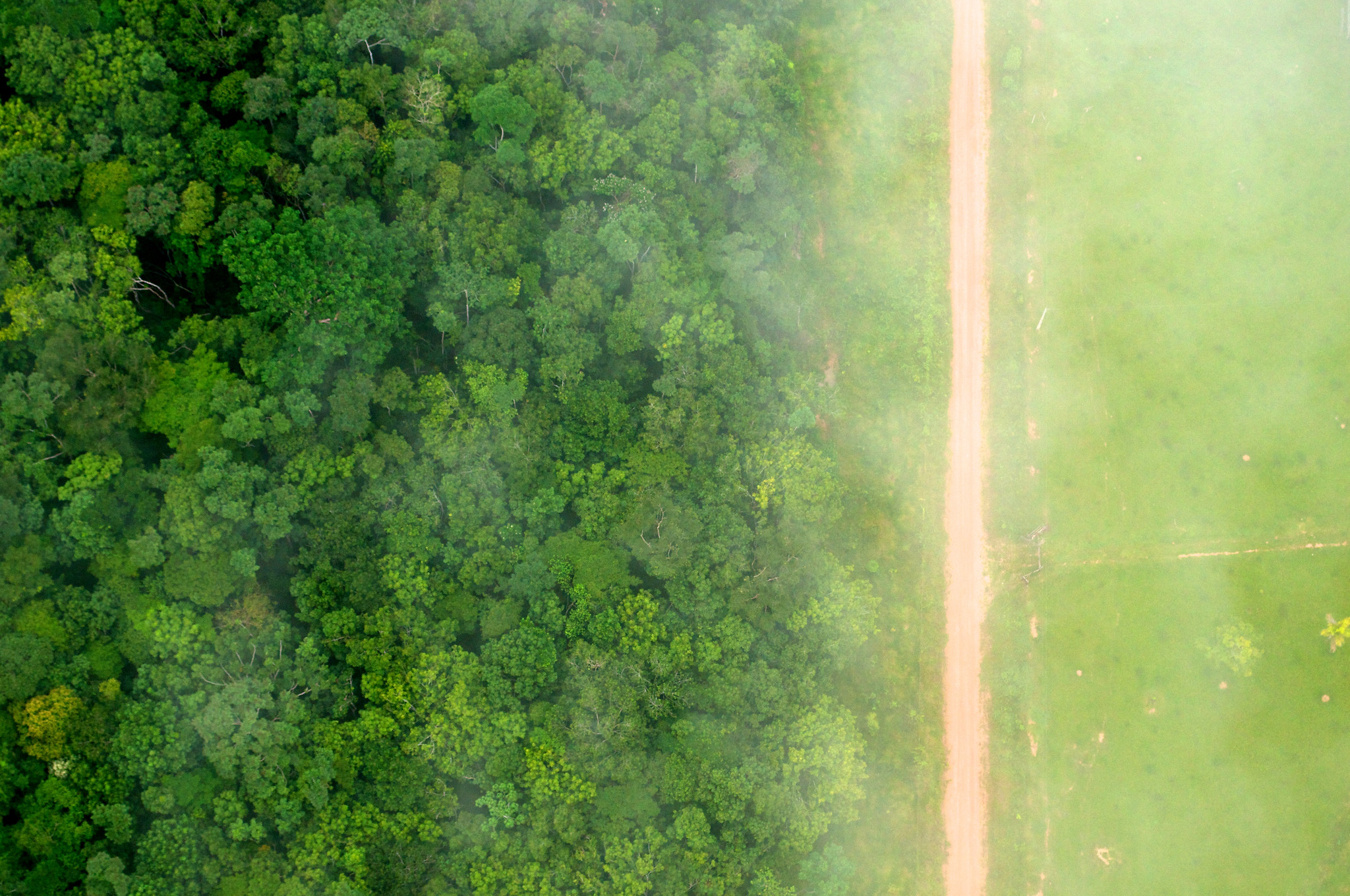 The striking contrast between the forest and agricultural landscape in Acre, Brazil. Kate Evans, CIFOR